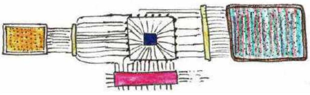 Digitale camera: sensor - processor - opslag - actuator (beeldscherm)